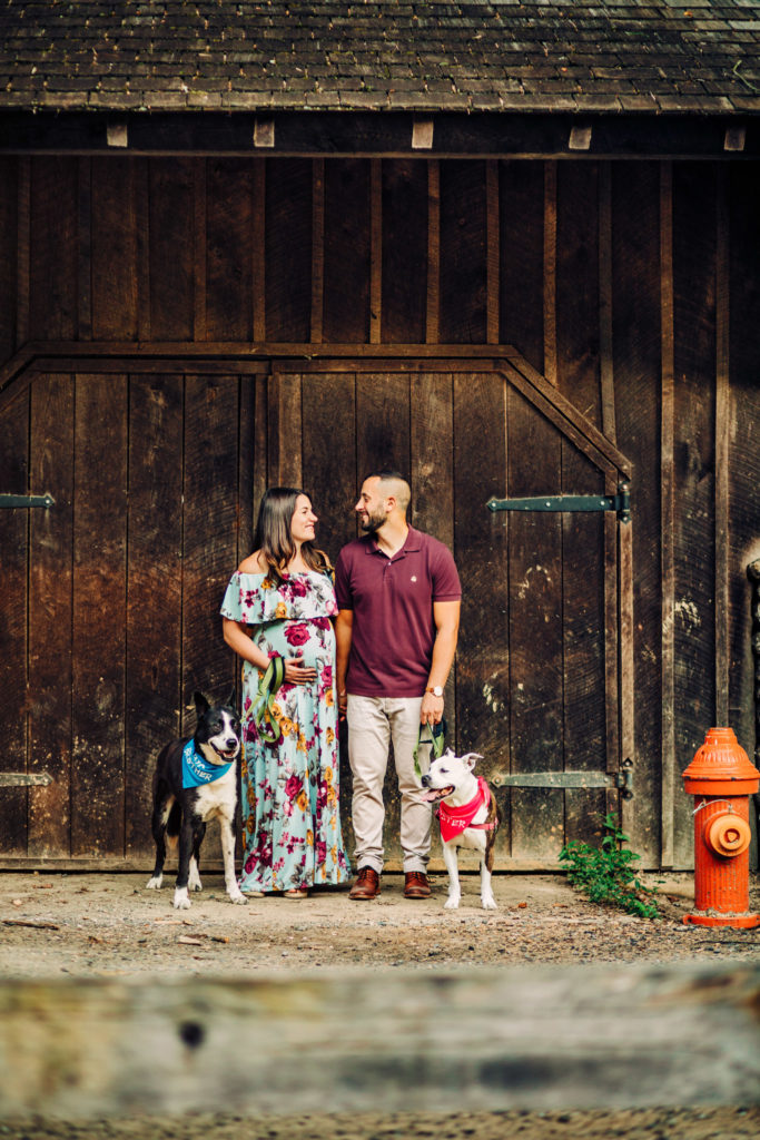 Maternity photo session with two dogs on Forbidden Drive in Philadelphia